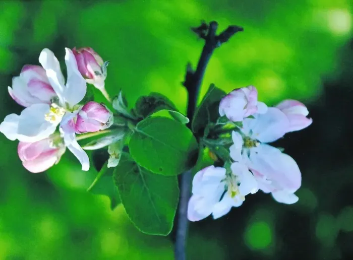 z_FKcoTGYYcX56ZH5aUmoQURqT3CYWDtliQQEp2xrw-67_wn6roRFdAzB0SM6JIxLAVaERa3kWrk5l9rFoRNkPxu