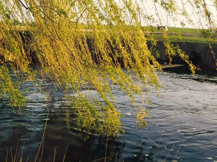 lyJWOmdEfjbX-VWZo9lAS6U24ILOAOSuEOptAw3O6mhUy4tgCftijg_JZHG6yiyYq2CXpllBBlUcBeIX2ykg86_L