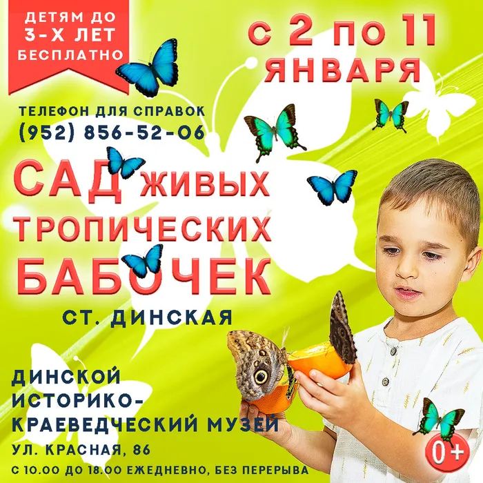 Динская афиша