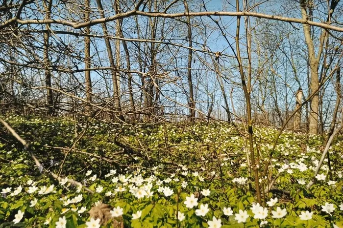 IBoUV0Yt-UH2mfteRi6surdTGzot4hdhKhLw4Uue6vtP0w63VjrylRMs9iIjrCOIbjfNVflLhwcDNsJBTucFZcm5