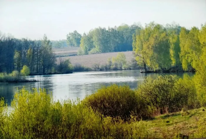 fRu1aPwl5QPDZA8rz6l8zulY6FRn72HwS3antVozUSGlAWrGTXN0fLsLAB0939Iv8wHEugJHYAoL2nFtsVVMK_Xp