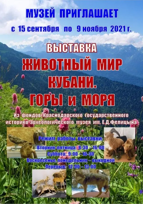 image-27-09-21-03-22